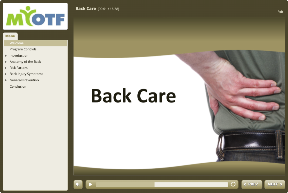 Back Care and Safe Lifting