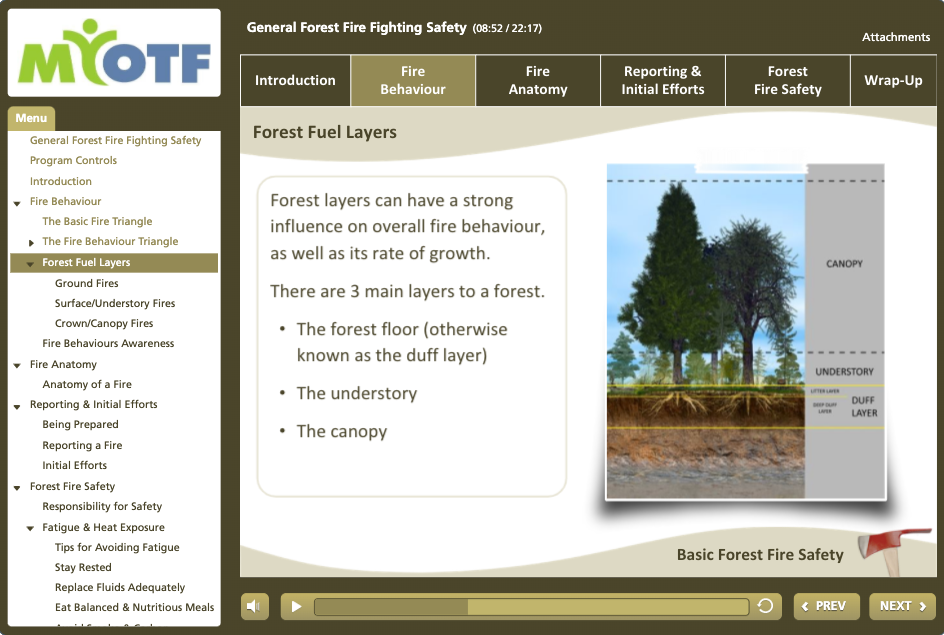 Forest Fire Fighting Safety Basics