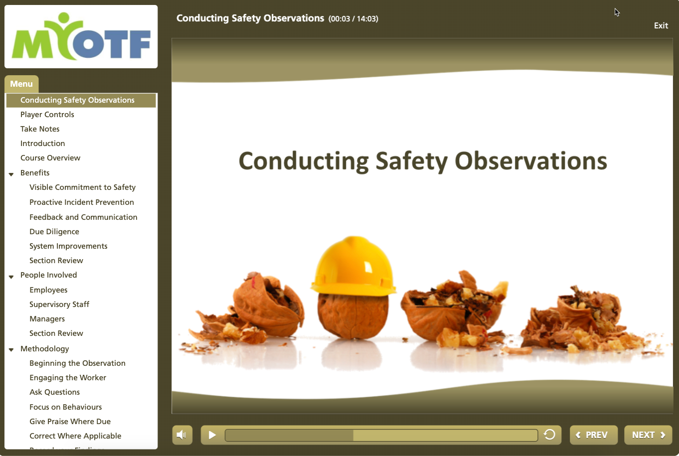 Conducting Safety Observations